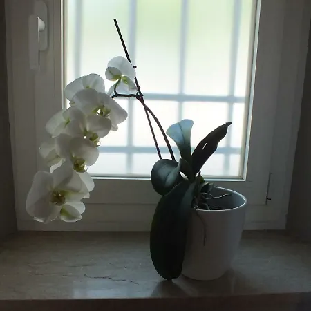 Вилла Peonia