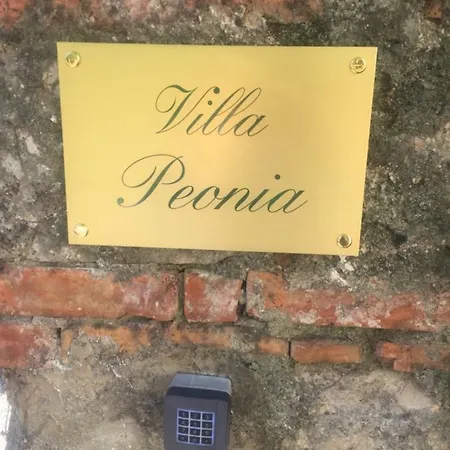 Peonia *